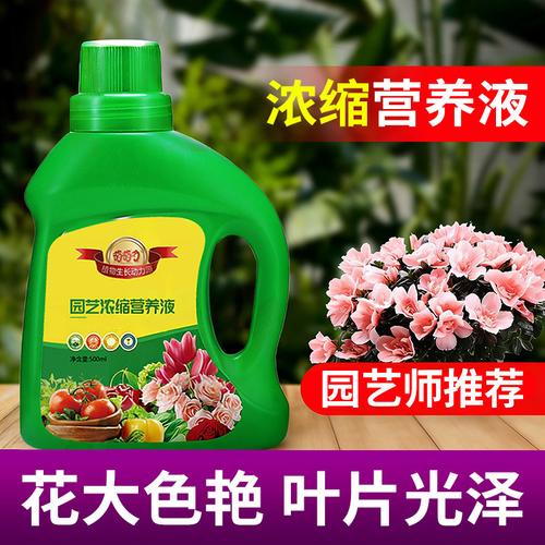 植物浓缩营养液 水培与土培花卉蔬菜的通用施肥指南